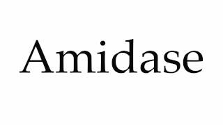 How to Pronounce Amidase [upl. by Lowrie]