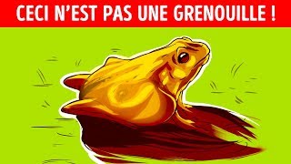 11 Illusions Doptique Qui Révéleront Quel Est Ton Type de Personnalité [upl. by Repohtsirhc]