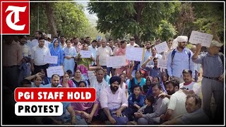 Contractual employees of Chandigarhs PGI hold a protest in support of their demands [upl. by Ardnac]