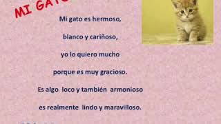 Poemas de los animalitos😊🥰 [upl. by Nallad]