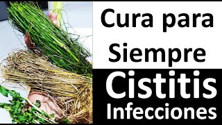 4 🌵🌿🌱🌴 4 Plantas De Poder Que Curan La Cistitis Y Las Infecciones Urinarias Para Siempre nunca Mas [upl. by Lili677]