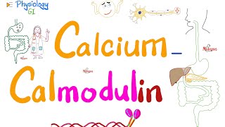 CalciumCalmodulin System  Second messengers  Physiology amp Biochemistry [upl. by Pomfrey373]