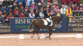 Moritz Treffinger GER Wins Freestyle Dressage to Music [upl. by Strauss]