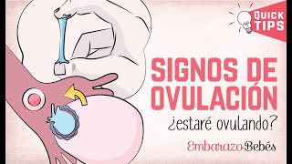 ¿Cómo saber si ESTOY OVULANDO 🤔👌 8 SÍNTOMAS de la ovulación [upl. by Pry80]