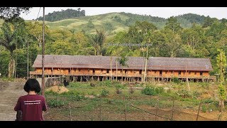 Rumah Betang Panjang Kedungkang West Kalimantan Borneo Longhouse Indonesia Travel 穿越婆罗洲达雅克长屋印尼西加里曼丹 [upl. by Anawik]