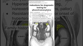 Indications for diagnostic testing for pheochromocytoma [upl. by Elay725]