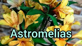 DIY Belas flores de Astromelias Amarelada em e v a [upl. by Hite]