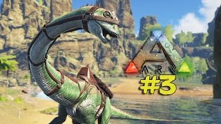 Ark Survival Evolved 3 Prezivljavanje  Novi Dinosaurus Diplodocus [upl. by Nerraw73]