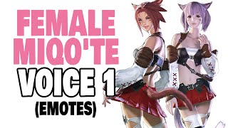 FFXIV Female Miqote Voice 1 Emotes [upl. by Odla]