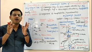 Cholinergic Drugs Part 01  Cholinergic Transmission and Cholinergic Drugs  Cholinergic System [upl. by Brynn]