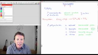 71 Koolhydraten  scheikunde  Scheikundelessennl [upl. by Neerbas]