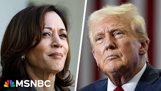 Kamala Harris erases Trumps swing state lead in new poll resetting race [upl. by Lladnarc]