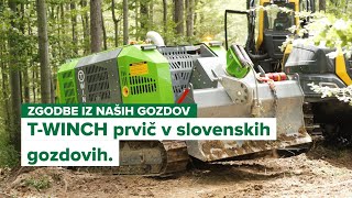 Zgodbe iz naših gozdov TWINCH premierno v slovenskih gozdovih [upl. by Barcot759]