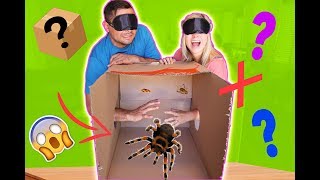 MYSTERY BOX CHALLENGE WHATS INSIDE scary  SoCassie [upl. by Addison]