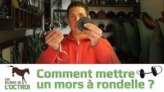 Comment mettre un mors à rondelle [upl. by Nitsoj]