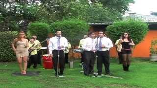 CUMBIA SABROSA FALCONI JR LA ORQUESTA GRANDE DEL ECUADOR [upl. by Kermit343]