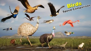 Birds Speed Comparison in 3D  Most Fastest birds  Fictional  Extinct birds  dragons [upl. by Flowers25]