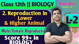 L2  2 Reproduction in Lower and Higher Animal Class 12 Biology Sexual Reproduction biology [upl. by Legge]