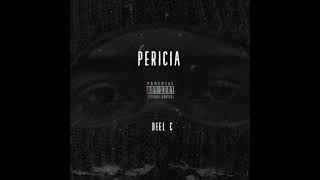 DEEL C  Pericia AUDIO OFICIAL [upl. by Nnainot]