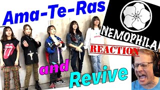 Nemophila  AmaTeRas amp Revive  live  reaction [upl. by Ssegrub]