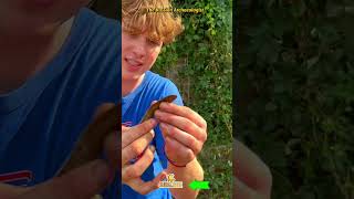 Magnet Fishing a Sketchy Canal Part 01 [upl. by Tobey]