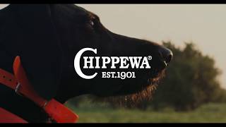 Chippewa Presents Hunting Companion [upl. by Nylsaj738]