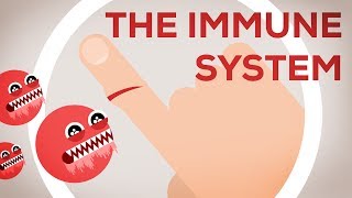 Flu Attack How A Virus Invades Your Body  Krulwich Wonders  NPR [upl. by Lebbie]