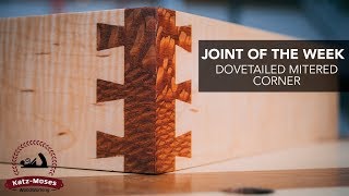 Mitered Dovetail Corner  Joint of the Week [upl. by Rozek]