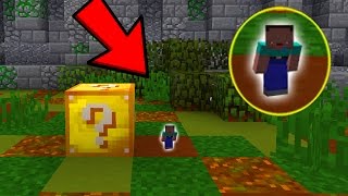 MENOR BATALHA DE LUCKY BLOCK DO MUNDO SMALLEST LUCKY BLOCK BATTLE MINECRAFT [upl. by Banwell]