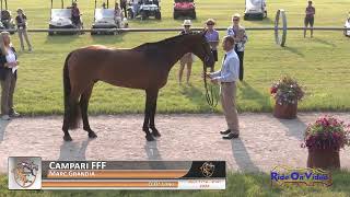 023J2 Marc Grandia on Campari FFF CCI3 Long Jog 2 Rebecca Farm July 2024 [upl. by Dyol]