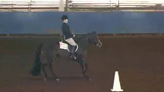 4H Horse JudgingHunt Seat Equitation [upl. by Inimak]