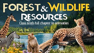 Forest and Wildlife Resources Class 10 cbse full chapter Animation  Class 10 Geography Chapter 2 [upl. by Yldarb362]