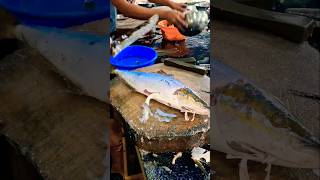 Greater amberjack fishcutting shorts video [upl. by Bomke816]