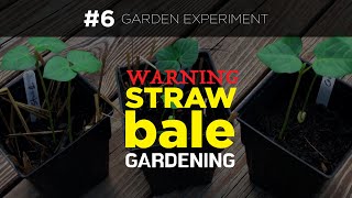 The Hidden Danger of Straw Bale Gardening No One Talk About [upl. by Nnyleahs]