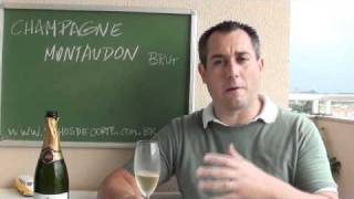 Champagne Montaudon Brut [upl. by Spohr]