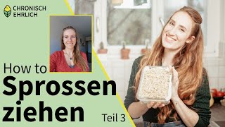 Sprossen selber ziehen im Sprossenglas  Sprossensamen Tutorial Teil 3 [upl. by Dovev262]