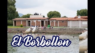 El Borbollón  Temascalcingo [upl. by Deck]