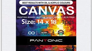 pantonic 1418 artists canvas board unboxing [upl. by Farl26]