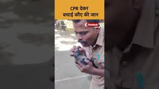 TamilNadu  बेहोश कौए को CPR देकर फायरकर्मी ने बचाई जान देखें Video [upl. by Ralli338]