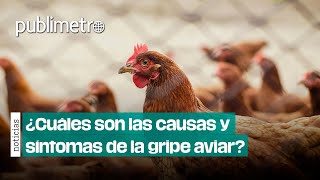 ¿Cómo se contagia y cuáles son los síntomas de la gripe aviar AH5N2 [upl. by Ver512]