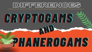 Difference between CRYPTOGAMS and PHANEROGAMS Plantae Kingdom biology plantkingdom [upl. by Keyte675]