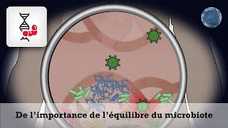 ScienceLoop Comment les microbiotes influencentils le fonctionnement du corps humain  23 [upl. by Eilsil290]