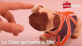 Le chien qui hoche la tête [upl. by Morena930]