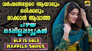 Old Mappila Pattukal Malayalam  Pazhaya Mappila Song old is gold  Mappila Songs  Mappilappattukal [upl. by Otreblide109]