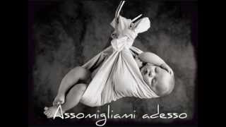 Assomigliami adesso Biagio Antonacci lyrics [upl. by Renae818]