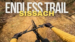 Den Endless Trail in Sissach unsicher machen  Mountainbike  Downhill [upl. by Aile]