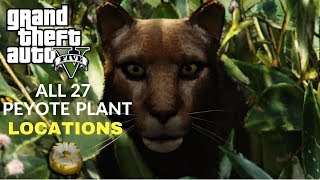 GTA 5  ALL 27 peyote plant locations Become An Animal [upl. by Talyah]