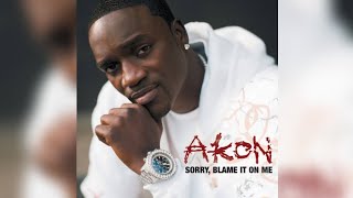 Akon  Sorry Blame It On Me Official Video [upl. by Ardnuaek]