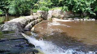 Salmon Leap Weir Fish Pass River Esk Yorkshire [upl. by Llerahc153]