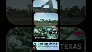 Ride Along with a Springle of Flowers Enjoy Shorts texas driving [upl. by Eltsirhc]